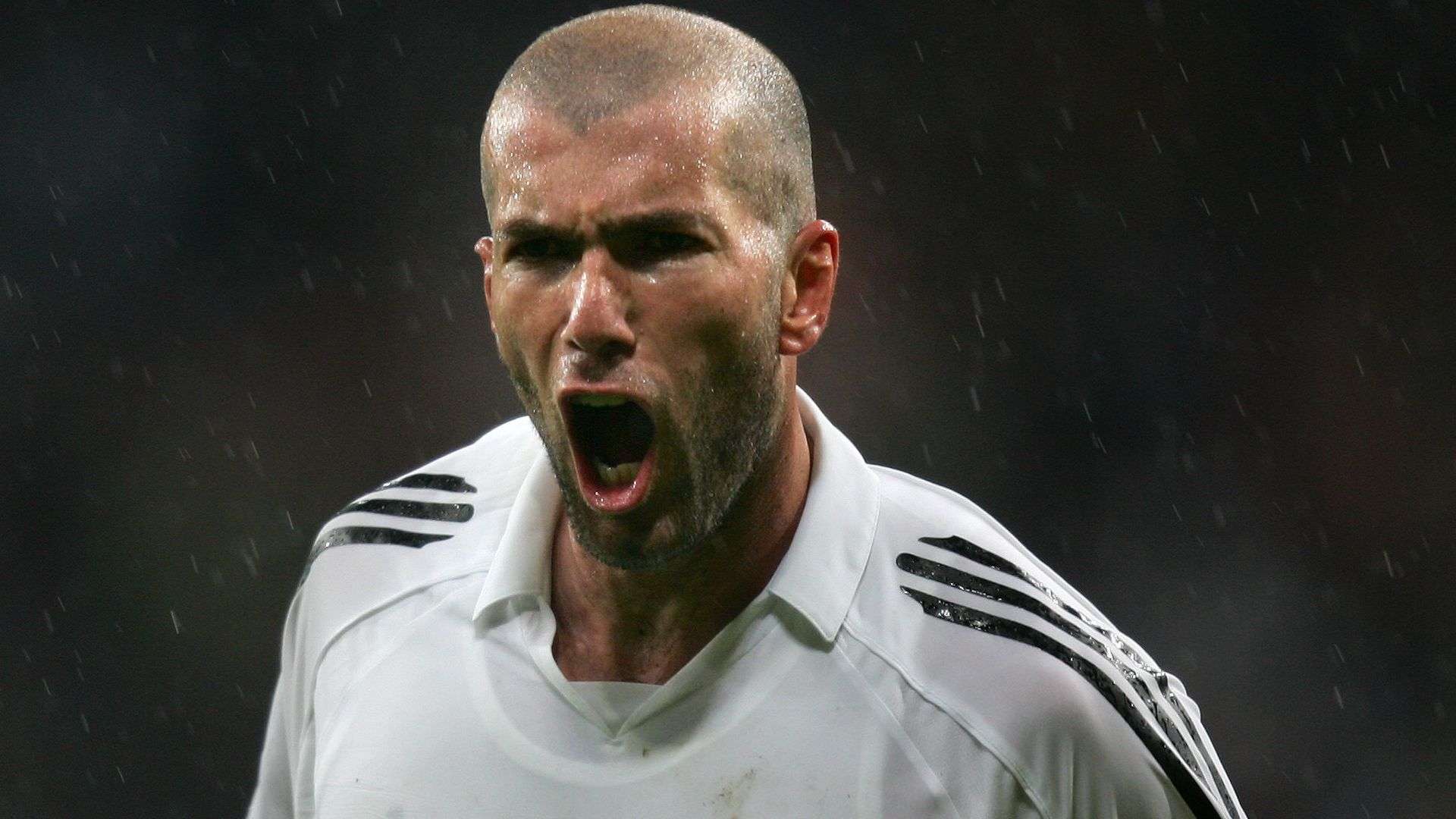 是逆境中的 是逆境中的