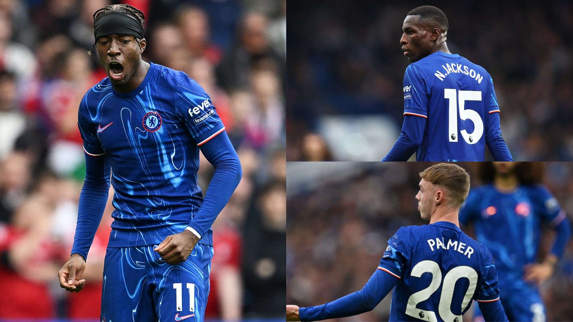 我们期待看 我们期待看